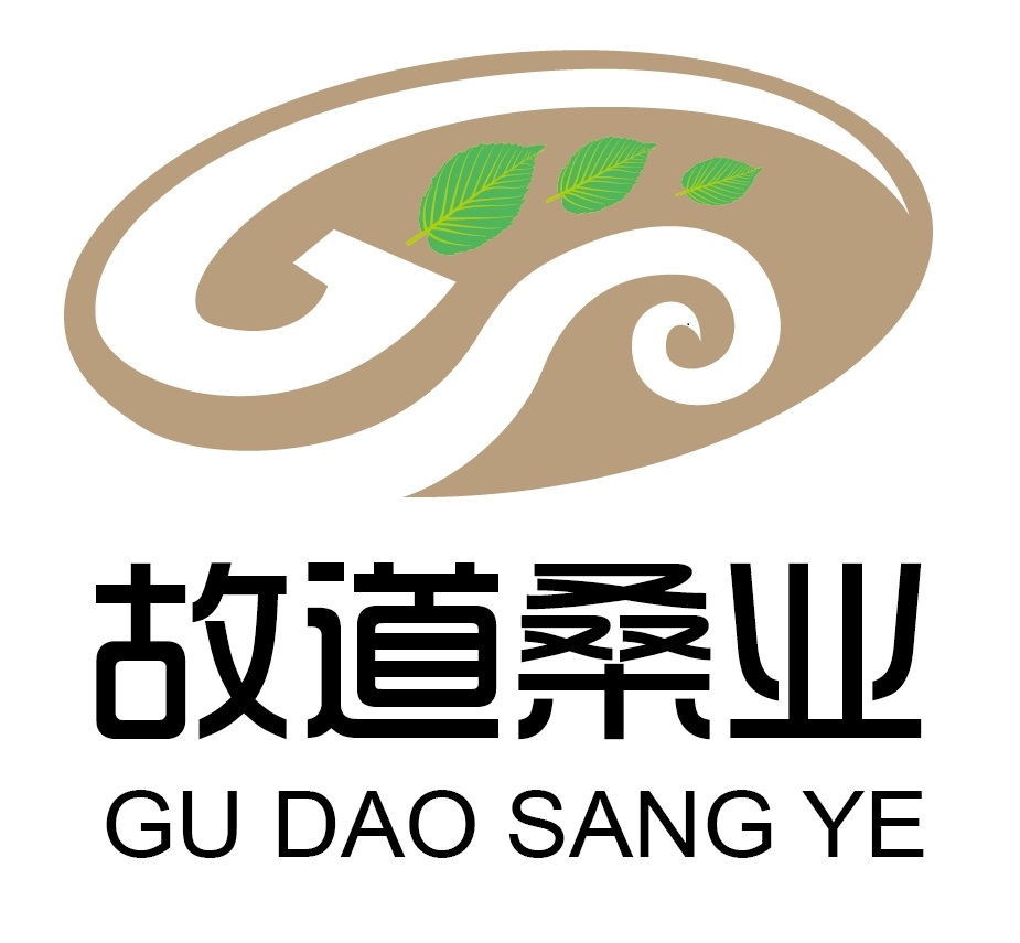 喝茶就可以防脫生發(fā)，太神奇了！桑葉養(yǎng)生茶