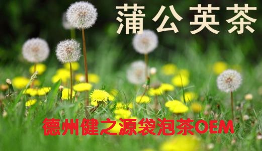 蒲公英茶，今天您喝了嗎？